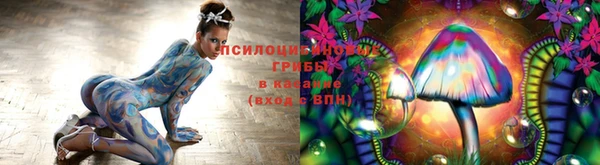 mix Покачи