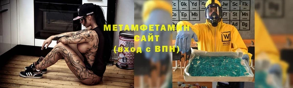 трава Балахна